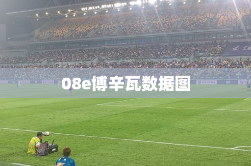 08e博辛瓦数据图