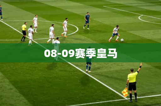 08-09赛季皇马 08-09赛季皇马