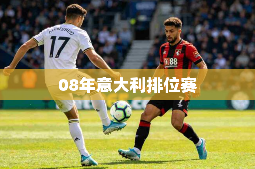 08年意大利排位赛