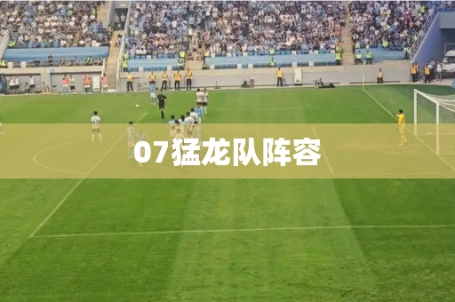 07猛龙队阵容