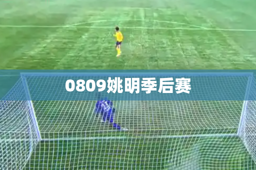 0809姚明季后赛 0809姚明季后赛