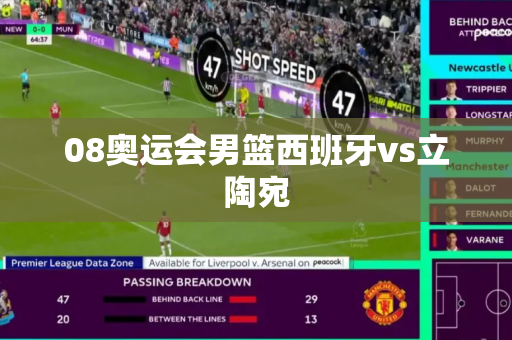 08奥运会男篮西班牙vs立陶宛