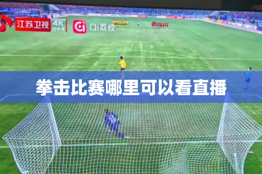 拳击比赛哪里可以看直播