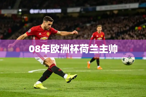 08年欧洲杯荷兰主帅