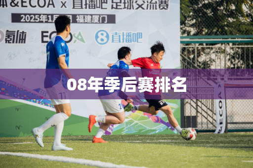 08年季后赛排名