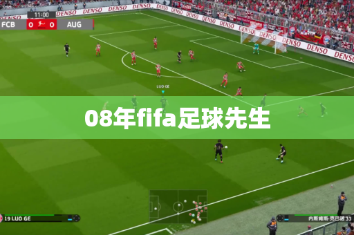 08年fifa足球先生