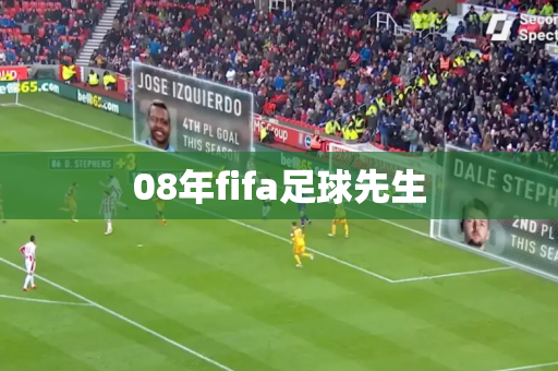 08年fifa足球先生