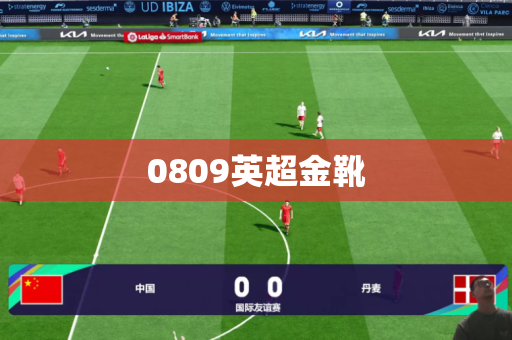 0809英超金靴 0809英超金靴