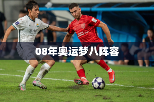 08年奥运梦八阵容