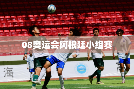 08奥运会阿根廷小组赛 08奥运会阿根廷小组赛