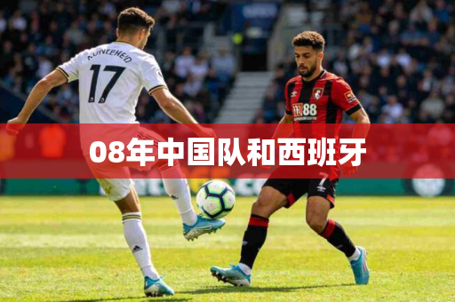 08年中国队和西班牙 08年中国队和西班牙