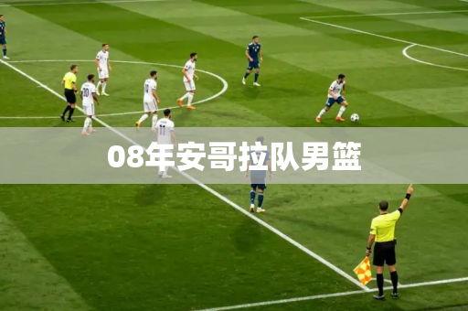 08年安哥拉队男篮