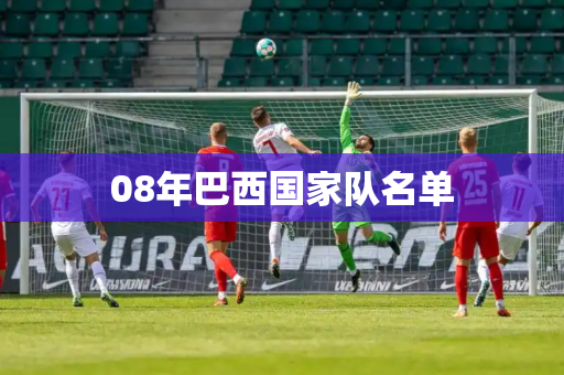 08年巴西国家队名单 08年巴西国家队名单