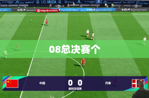 08总决赛个