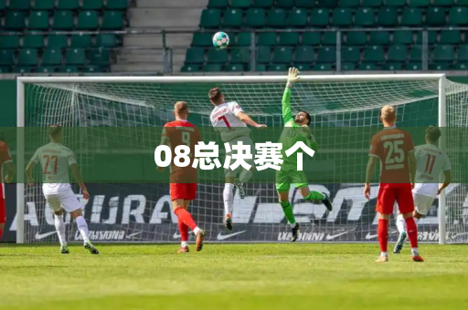 08总决赛个