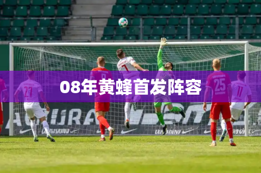 08年黄蜂首发阵容