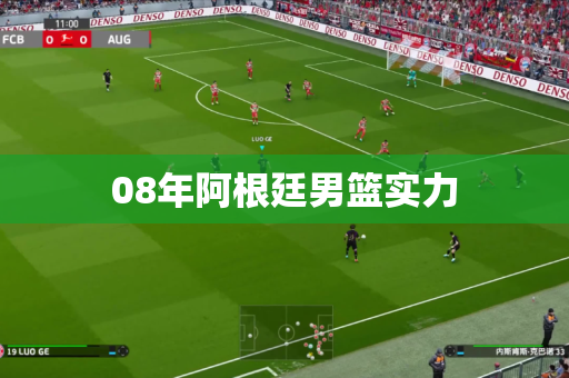 08年阿根廷男篮实力
