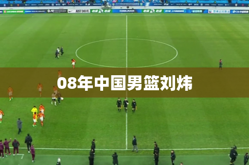 08年中国男篮刘炜