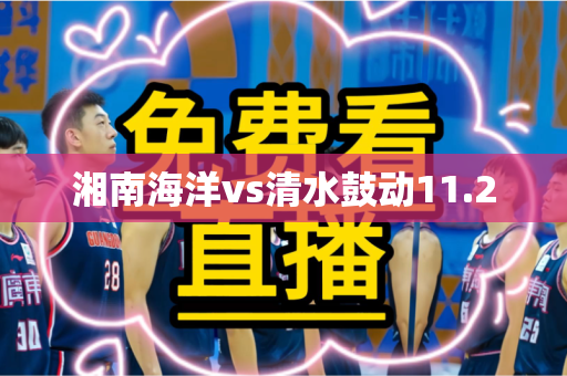 湘南海洋vs清水鼓动11.2 湘南海洋vs清水鼓动11.2