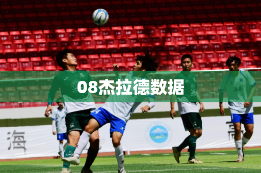 08杰拉德数据 08杰拉德数据