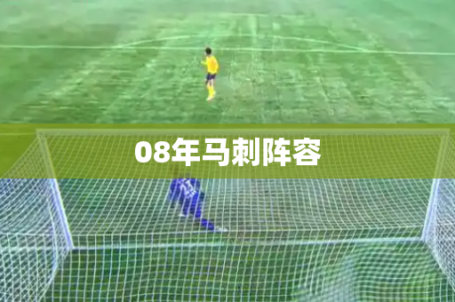08年马刺阵容