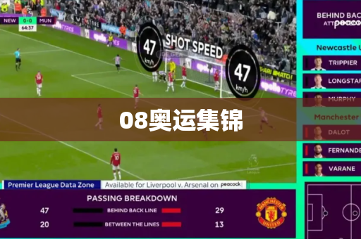 08奥运集锦