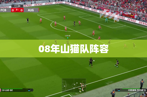 08年山猫队阵容 08年山猫队阵容