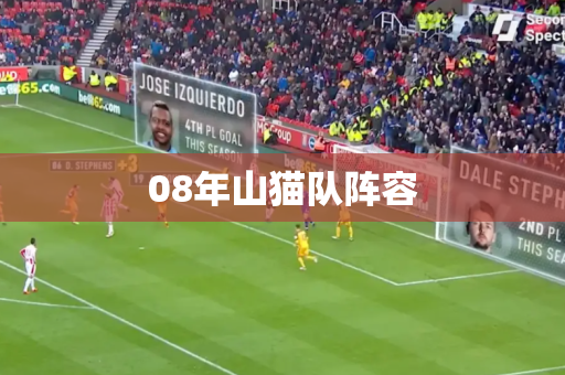 08年山猫队阵容
