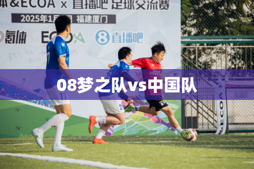 08梦之队vs中国队