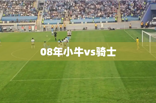 08年小牛vs骑士