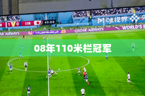 08年110米栏冠军