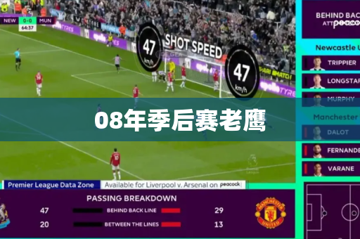 08年季后赛老鹰