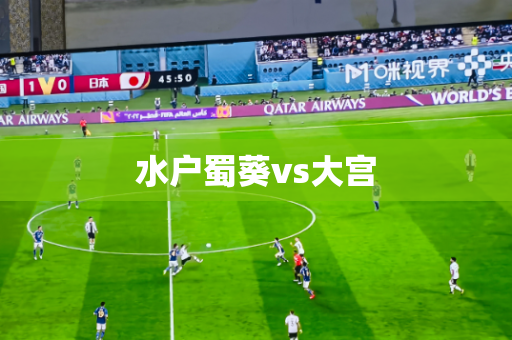 水户蜀葵vs大宫 水户蜀葵vs大宫