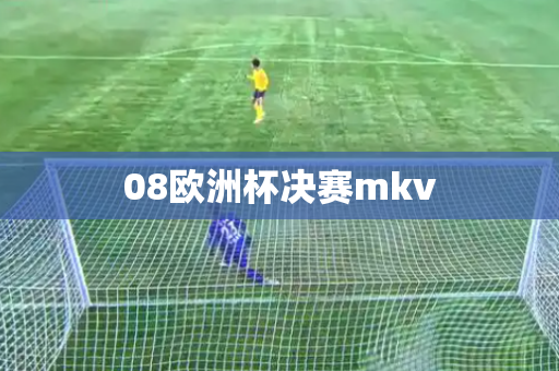 08欧洲杯决赛mkv