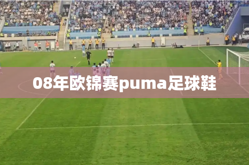 08年欧锦赛puma足球鞋 08年欧锦赛puma足球鞋