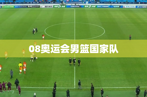 08奥运会男篮国家队