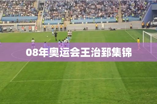 08年奥运会王治郅集锦
