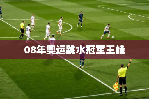 08年奥运跳水冠军王峰