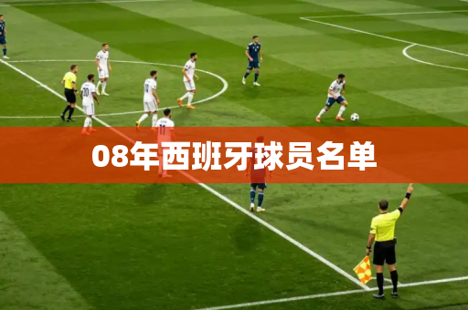 08年西班牙球员名单