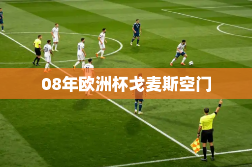 08年欧洲杯戈麦斯空门 08年欧洲杯戈麦斯空门