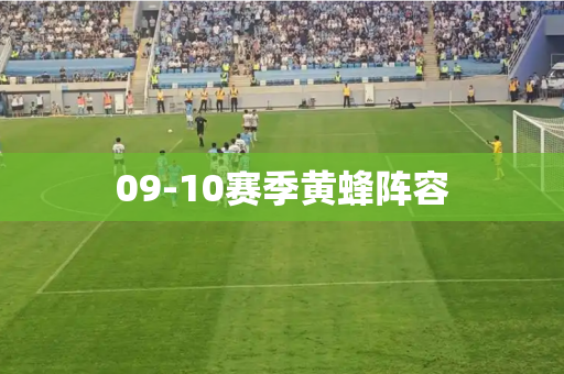 09-10赛季黄蜂阵容