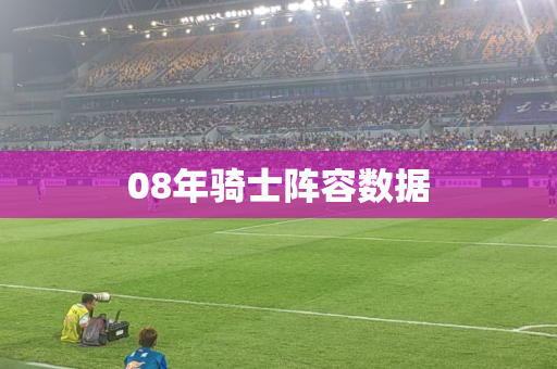 08年骑士阵容数据