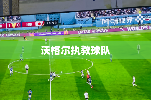 沃格尔执教球队