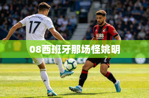 08西班牙那场怪姚明