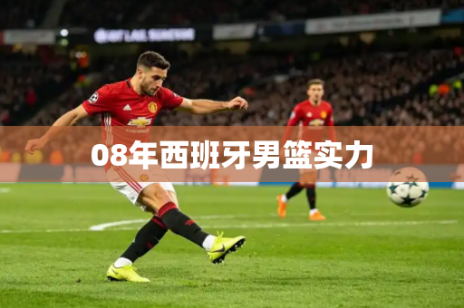08年西班牙男篮实力