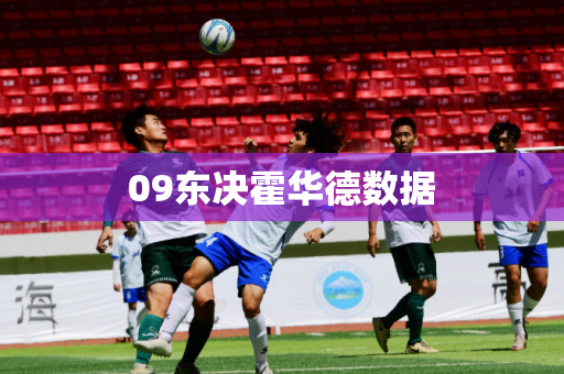 09东决霍华德数据