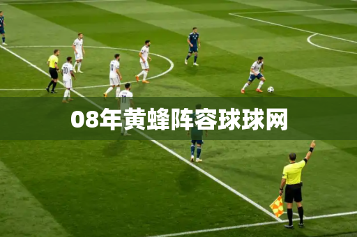 08年黄蜂阵容球球网