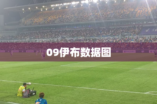 09伊布数据图