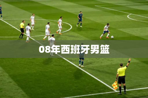 08年西班牙男篮