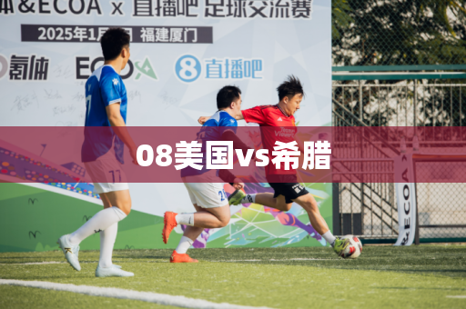 08美国vs希腊